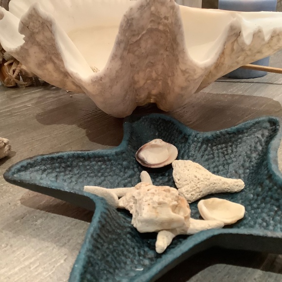 Antique Clam Shell Tridacna Gigas huge collectible unique - Picture 5 of 17